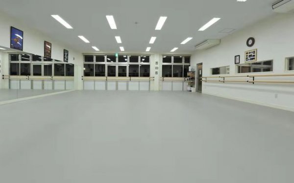 舞蹈專(zhuān)用地板